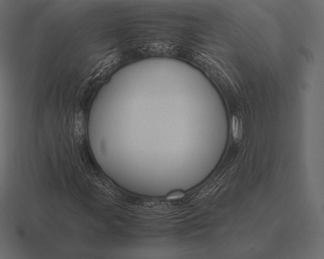 X0000116561107200912241609