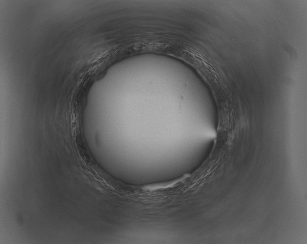 X0000116561109200912241609