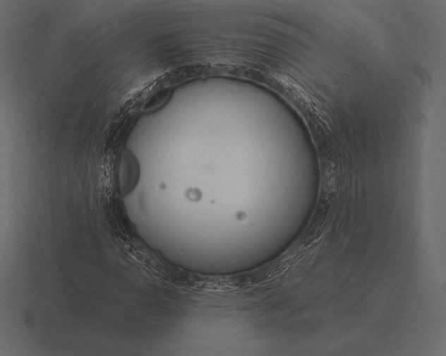 X0000116561110200912241609