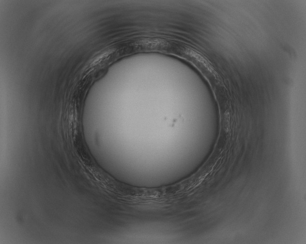 X0000116561111200912241609