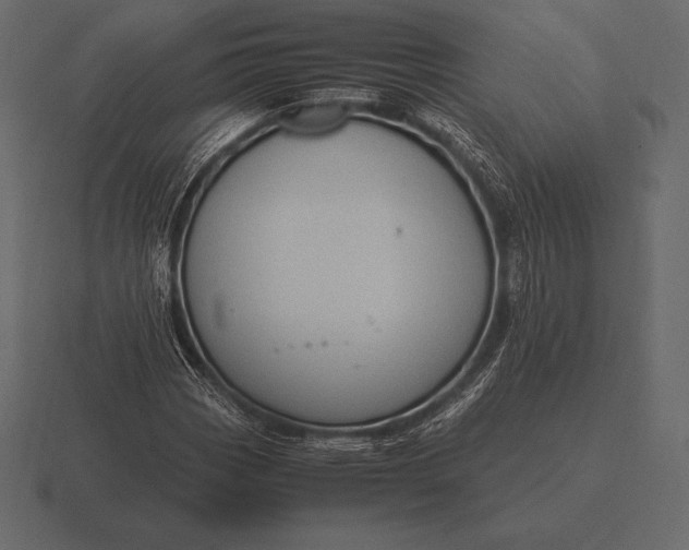 X0000116561113200912241609