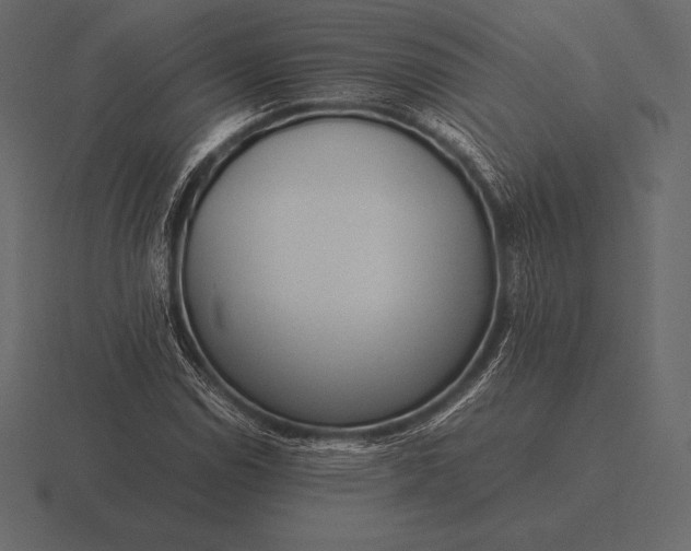 X0000116561114200912241609