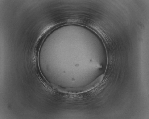 X0000116561115200912241609