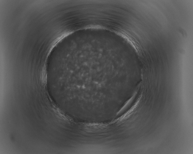 X0000116561117200912241609