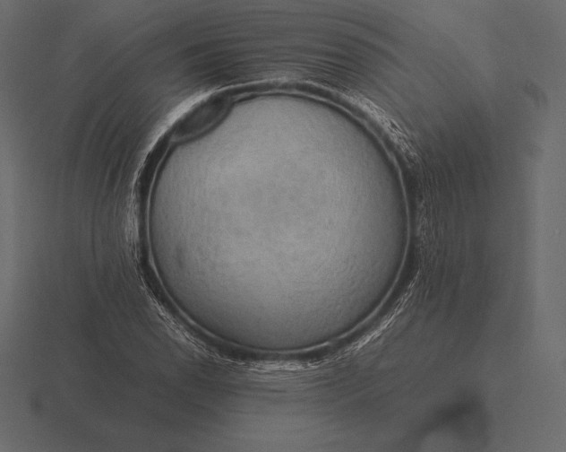 X0000116561118200912241609