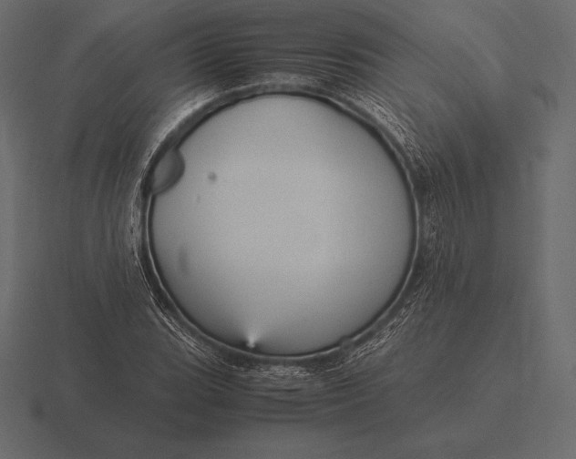 X0000116561119200912241609