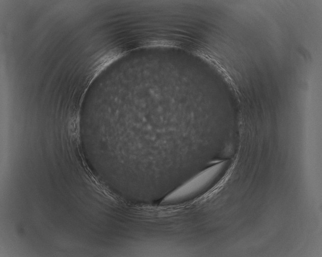 X0000116561121200912241609