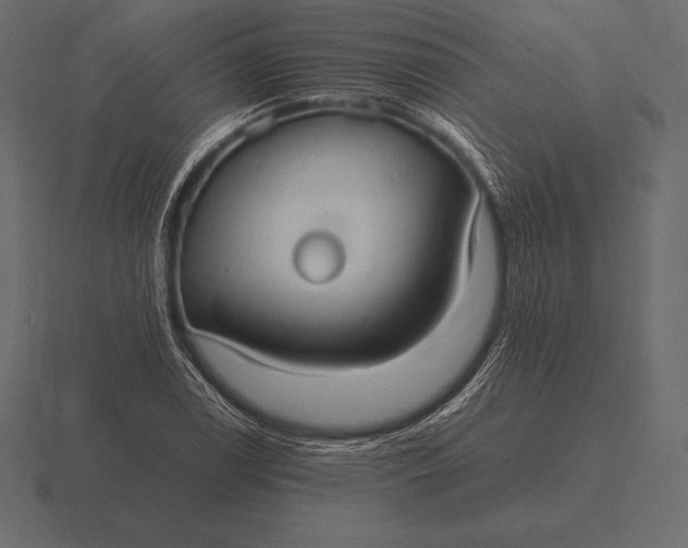 X0000116561122200912241609