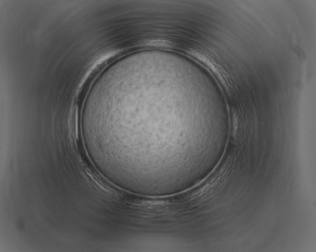 X0000116561123200912241609