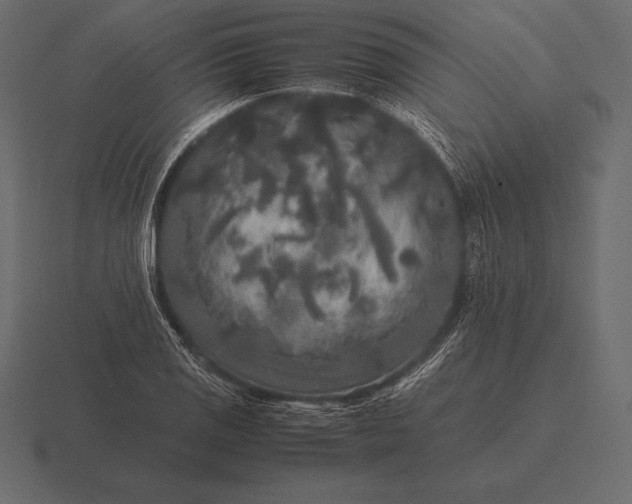 X0000116561125200912241609