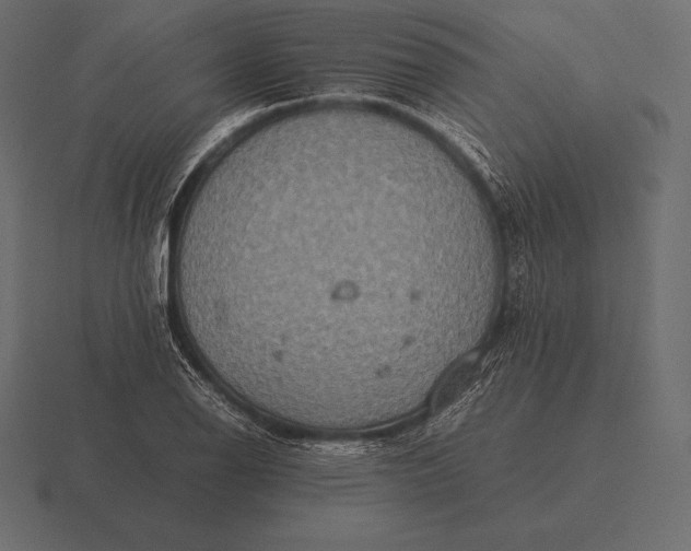 X0000116561126200912241609