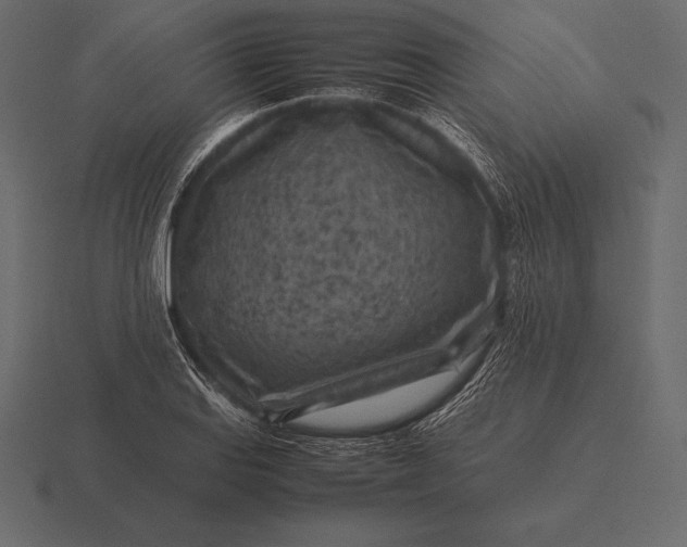 X0000116561127200912241609