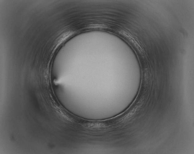 X0000116561129200912241609