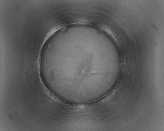 X0000116561130200912241609