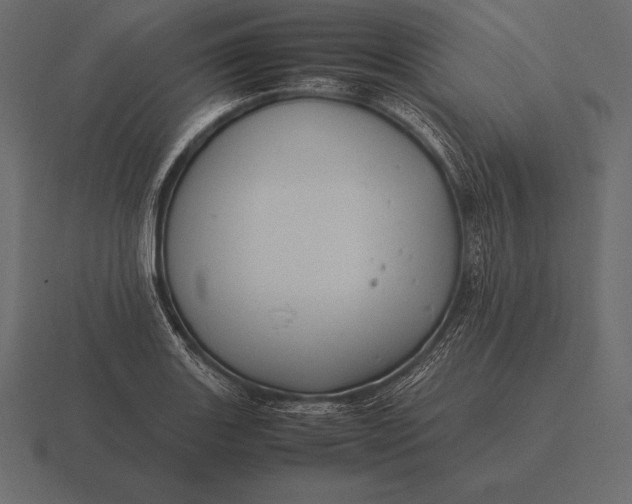 X0000116561131200912241609