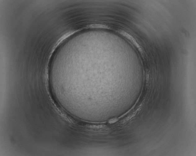 X0000116561133200912241609