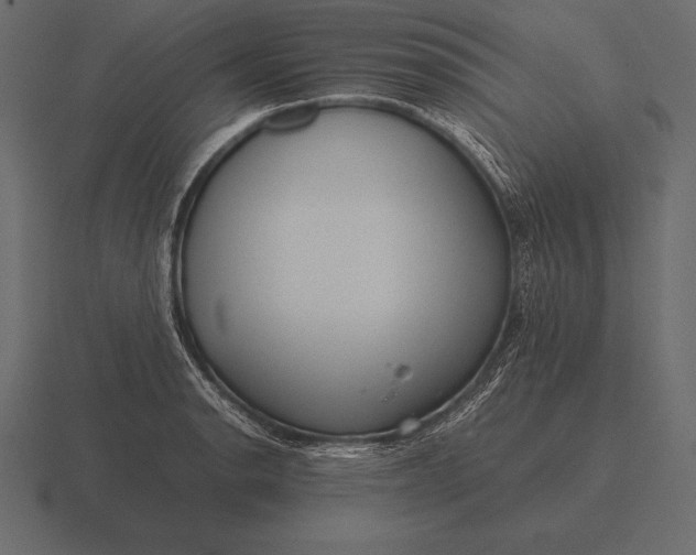 X0000116561134200912241609