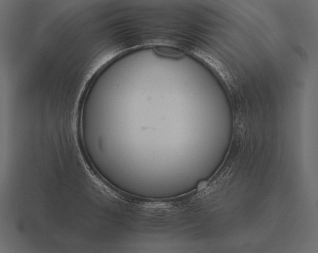 X0000116561135200912241609