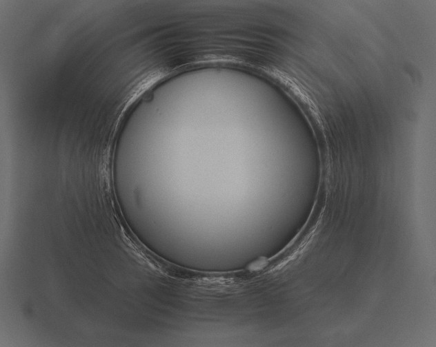 X0000116561137200912241610