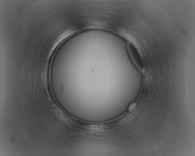 X0000116561138200912241610