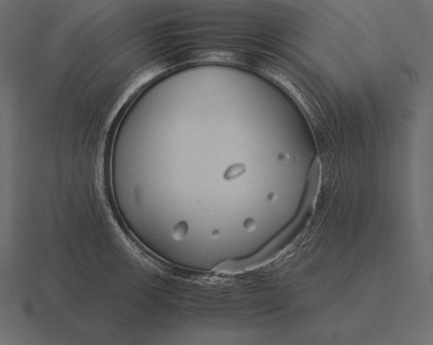 X0000116561139200912241610