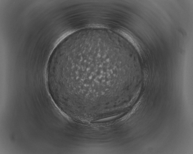 X0000116561141200912241610