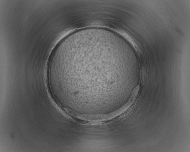 X0000116561142200912241610