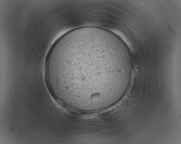 X0000116561143200912241610