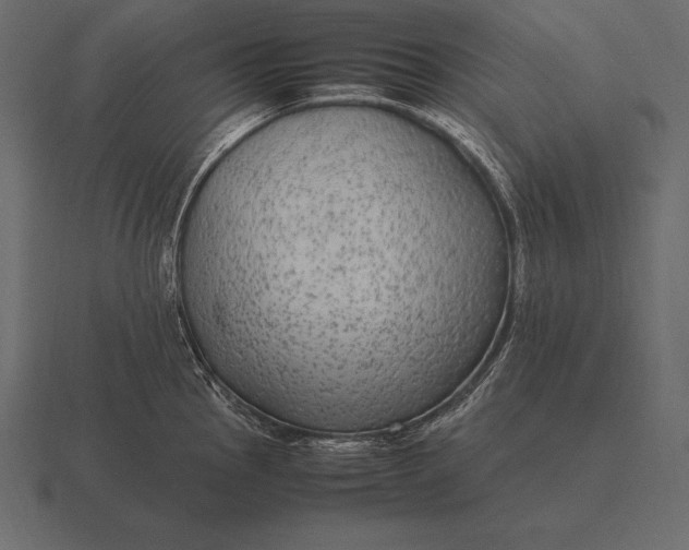 X0000116561145200912241610