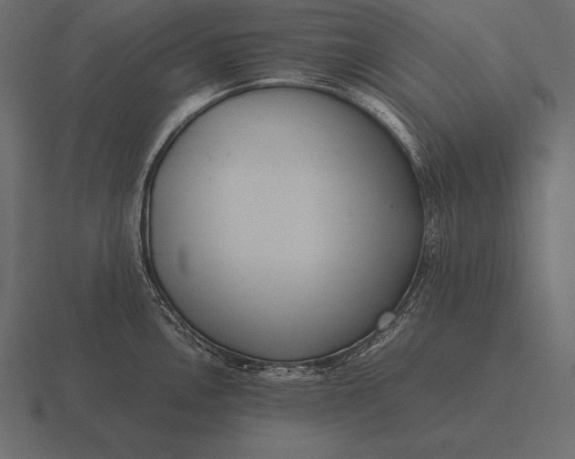 X0000116561146200912241610