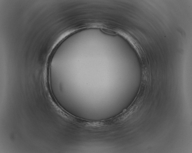 X0000116561147200912241610