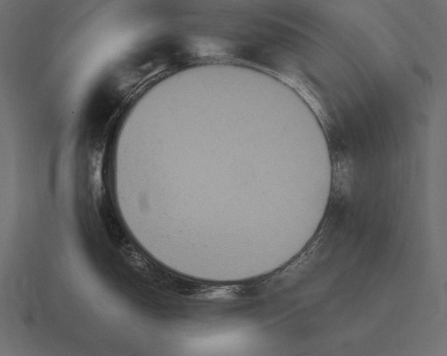 X0000116561150200912241610