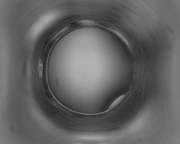 X0000116561151200912241610