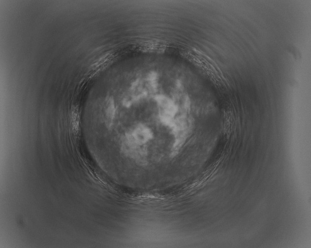 X0000116561154200912241609