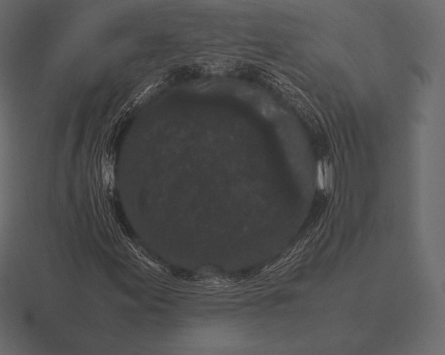 X0000116561155200912241609