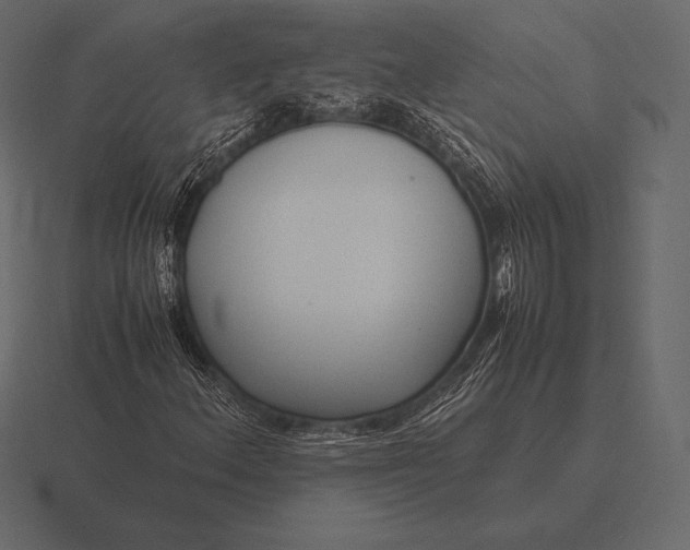 X0000116561156200912241609