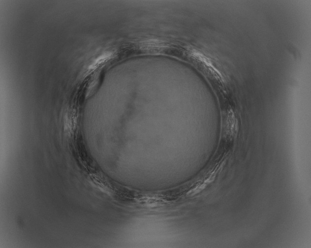 X0000116561157200912241609