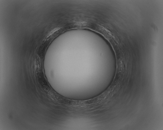 X0000116561158200912241609