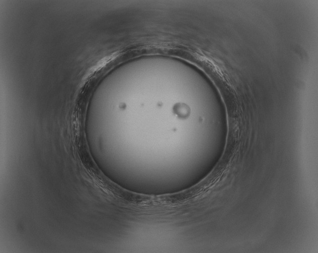 X0000116561159200912241609