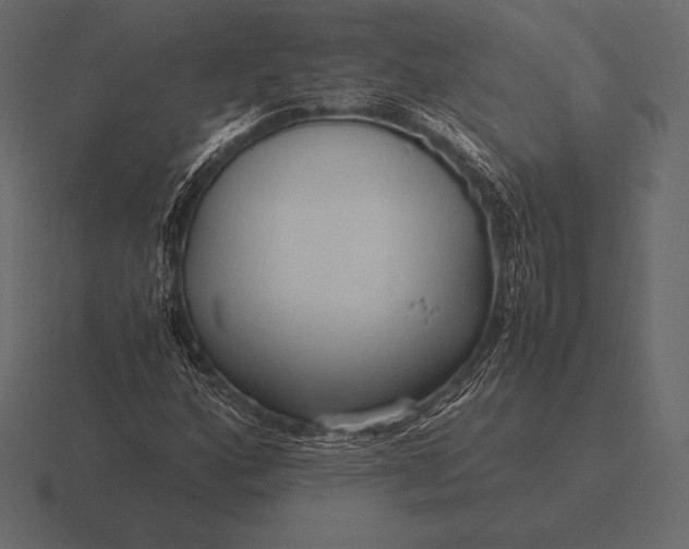 X0000116561160200912241609