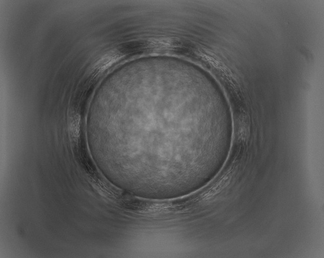 X0000116561161200912241609