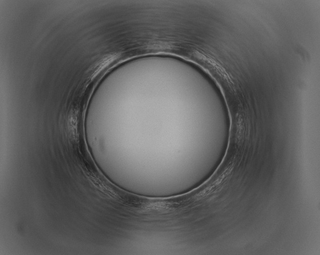 X0000116561162200912241609