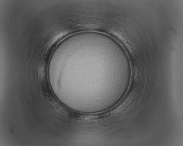 X0000116561163200912241609