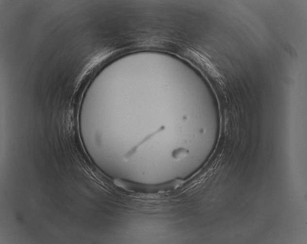 X0000116561164200912241609