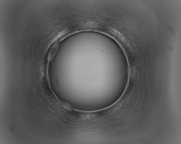 X0000116561165200912241609