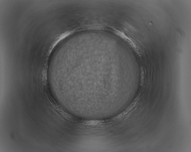 X0000116561166200912241609