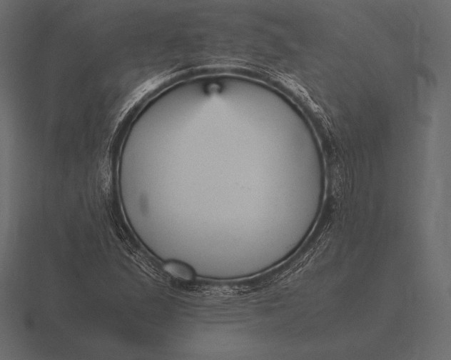 X0000116561167200912241609