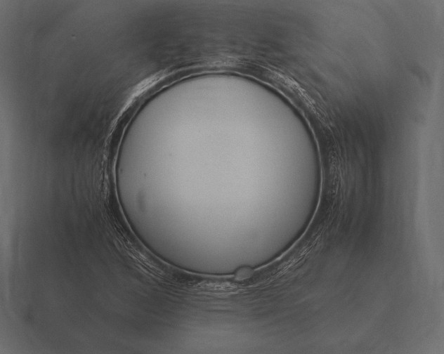 X0000116561168200912241609