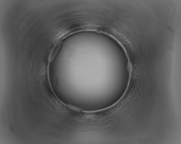 X0000116561169200912241609