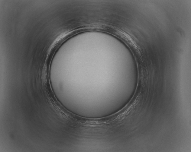 X0000116561172200912241609